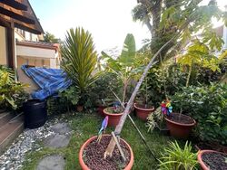East View Garden (D16), Terrace #581286101